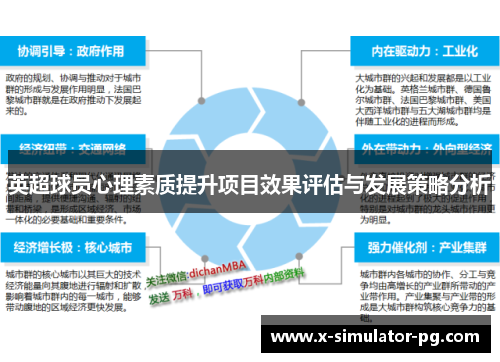 英超球员心理素质提升项目效果评估与发展策略分析 英超球员心理素质提升项目效果评估与发展策略分析
