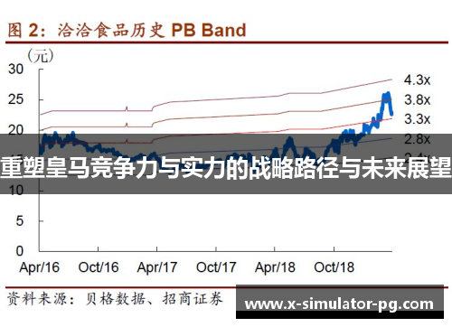 重塑皇马竞争力与实力的战略路径与未来展望 重塑皇马竞争力与实力的战略路径与未来展望