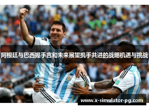 阿根廷与巴西握手言和未来展望携手共进的战略机遇与挑战