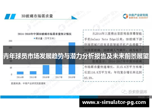 青年球员市场发展趋势与潜力分析报告及未来前景展望