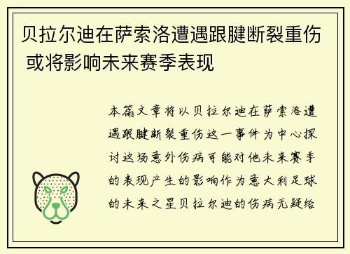 贝拉尔迪在萨索洛遭遇跟腱断裂重伤 或将影响未来赛季表现 贝拉尔迪在萨索洛遭遇跟腱断裂重伤 或将影响未来赛季表现